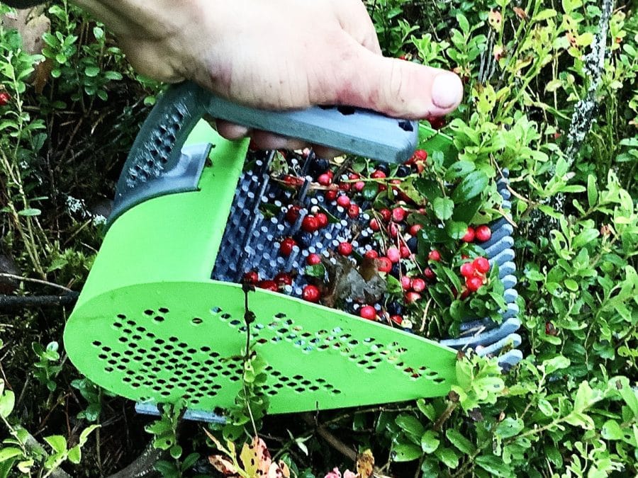 3d printed Berry Picker